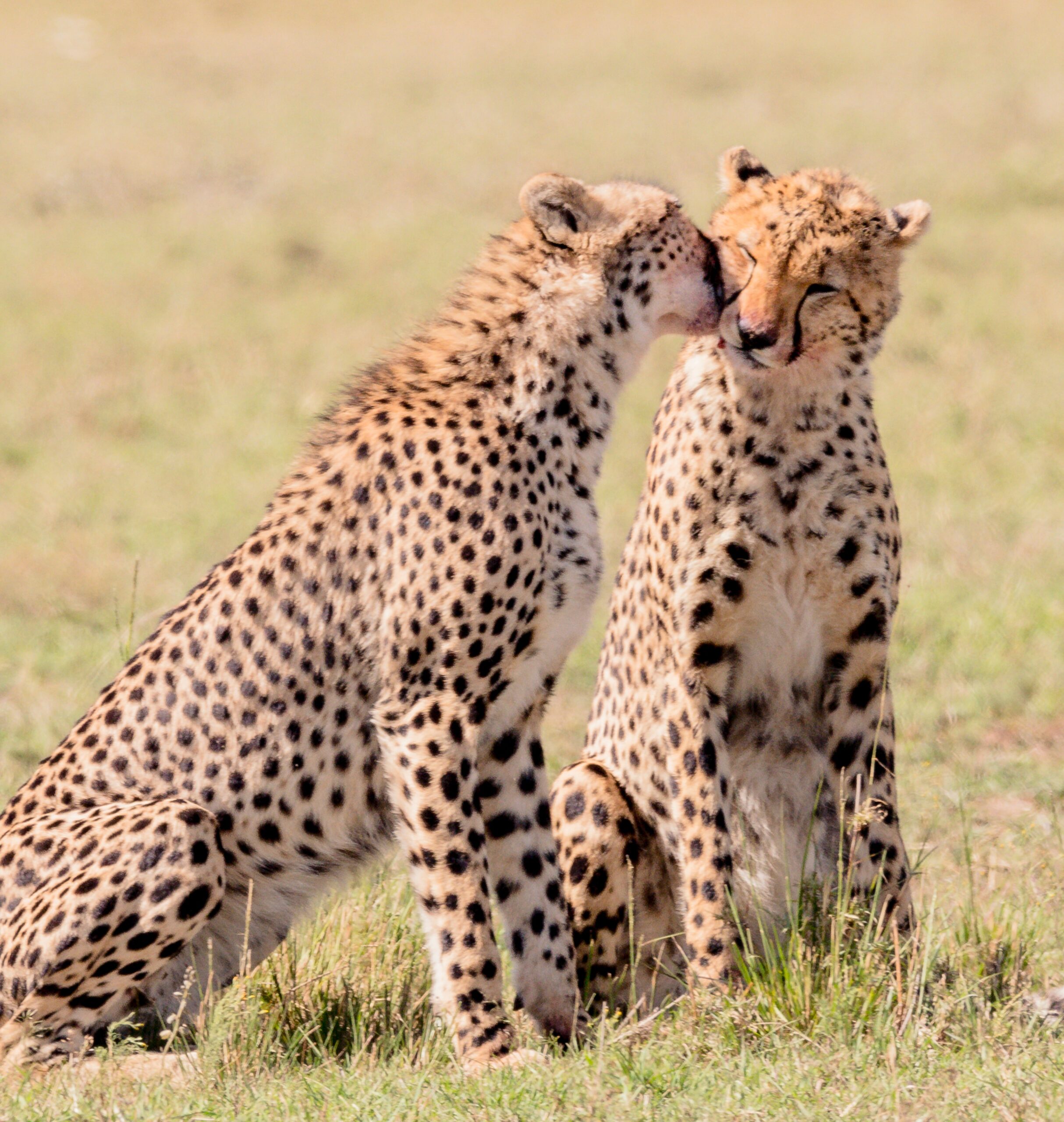 samburu-game-reserve