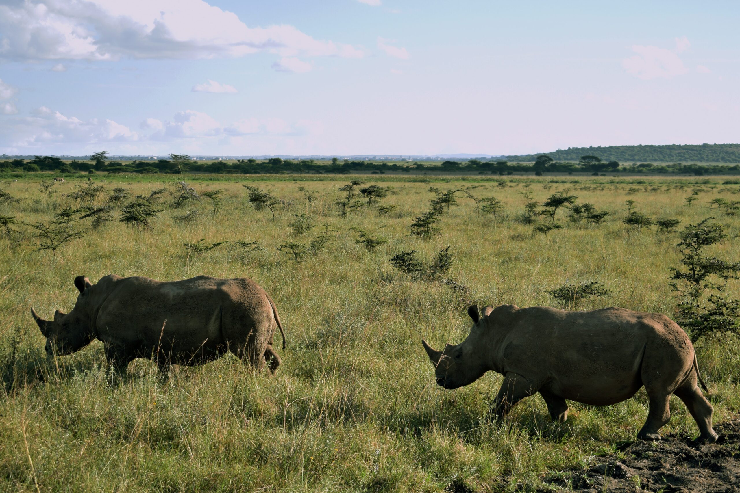 Kibale-National-Park