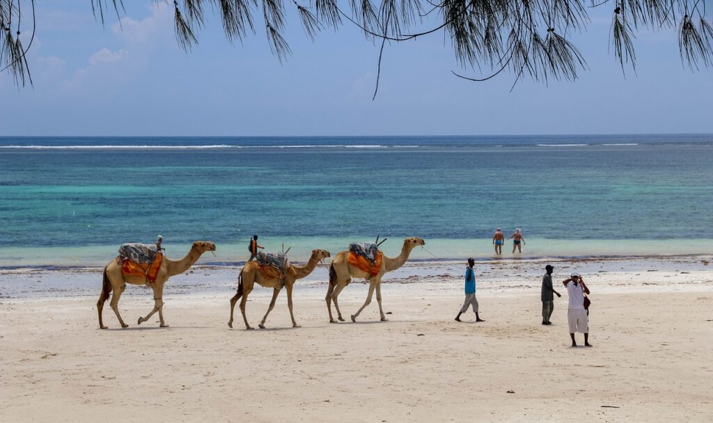 africa, kenya, diani beach