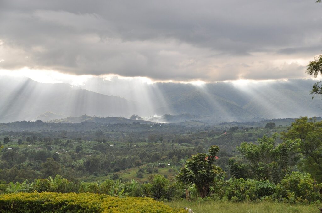 rwenzori, mountains, border