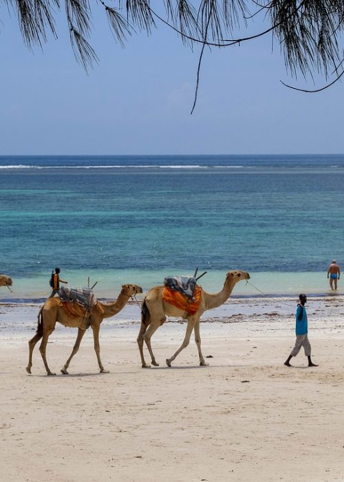 africa, kenya, diani beach